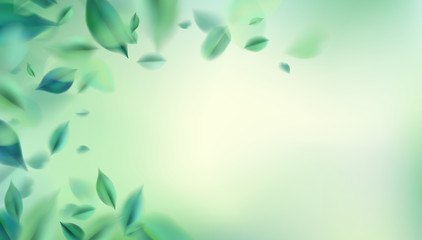 Fototapeta na wymiar Nature abstract background with spring green leaves vector illustration