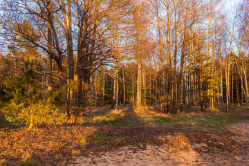 empty countryside life landscape in late autumn