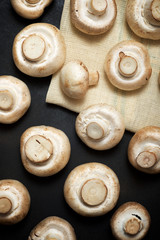 Fototapeta premium Mushrooms close up