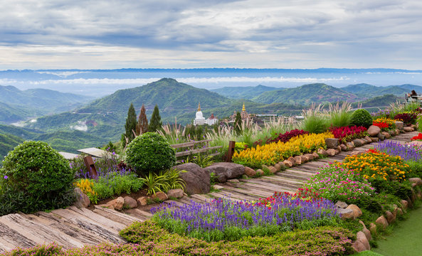 Colorful flowers blooming on top of mountain with landscape view in the morning. © Petch A Ratana