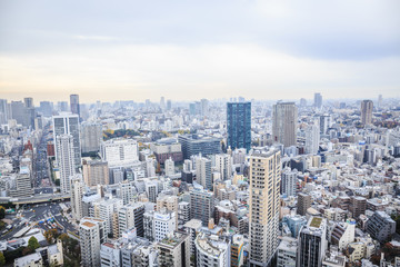Aerial view of Tokyo cityscape from Tokyo Tower.