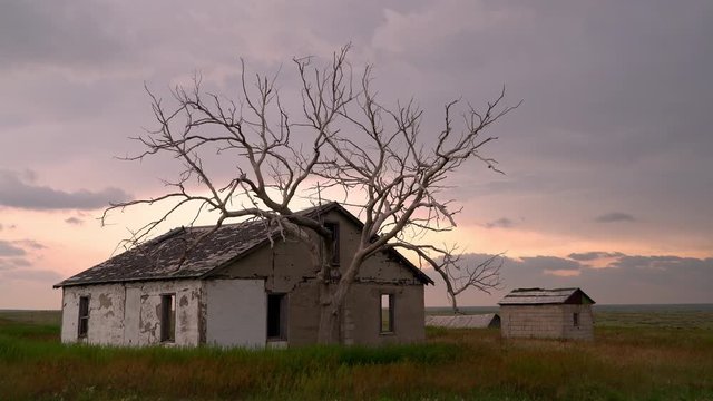 View of old house at sunset with spooky dead tree as wind blows the grass.