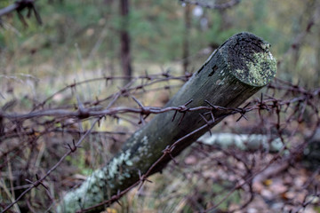 Photos from the city of Pripyat