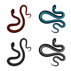 Isolated object of mammal and danger symbol. Collection of mammal and medicine vector icon for stock.