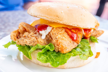 fresh Chicken Burger - Fresh burger with pulled Chicken meat