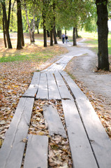 Elderly couple walking along the park on the path
