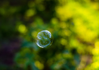  flying soap bubble against the backdrop of greenness and the sun