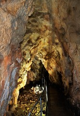 Bear cave from Chiscau village Bihor county - Romania