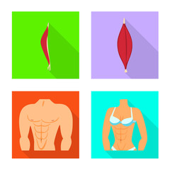 Vector illustration of muscle and cells sign. Set of muscle and anatomy vector icon for stock.