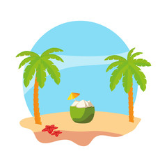 summer beach with palms and coconut cocktail scene
