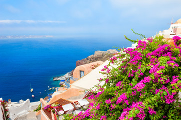 Pink flowers on the terrace with sea view. Santorini island, Greece.