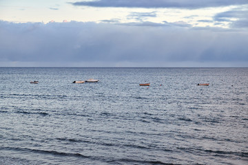 Obraz premium Fishing boats on the beach of El Medano village, Tenerife