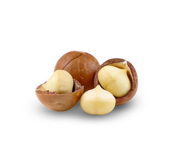 Macadamia nut isolate on white background