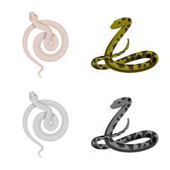 Vector design of mammal and danger logo. Set of mammal and medicine stock symbol for web.