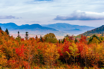 Autumn Trees in Mountains with Clouds