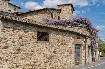 Fototapeta na wymiar Old house in tuscany italy