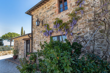 Fototapeta na wymiar Old house in tuscany italy