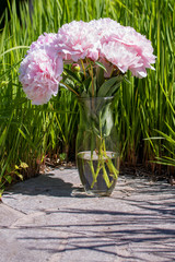 Blumenvase mit Pfingstrosen