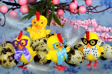 The chickens came out of the quail egg cheerfully. Quail eggs — partridge and branch of the...