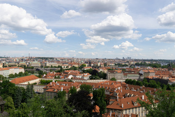 Fototapeta na wymiar Red roofs of houses in Prague with green foliage of trees. View of the city in the summer.