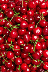 Close up of pile of ripe cherries with stalks and leaves. Large collection of fresh red cherries. Ripe cherries background