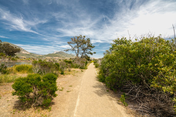 An Elfin Forest and Fragile Area, Marina Point Loop Trail loop trail located near Morro Bay, California offers the chance to see wildlife.