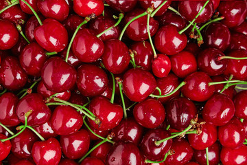 Close up of pile of ripe cherries with stalks and leaves. Large collection of fresh red cherries. Ripe cherries background