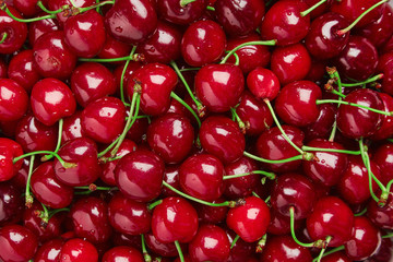 Close up of pile of ripe cherries with stalks and leaves. Large collection of fresh red cherries....