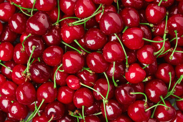 Close up of pile of ripe cherries with stalks and leaves. Large collection of fresh red cherries. Ripe cherries background