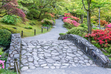 Colorful Garden Path 7