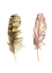 two watercolor feather