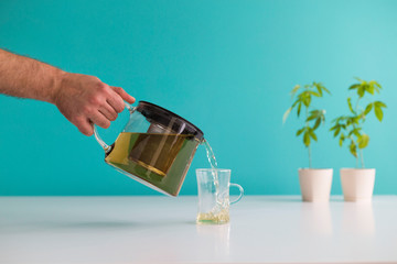 White table with Marijuana plant in pottery. Hand pouring hot CBD tea in to glass.