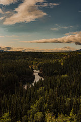 The view towards Miles Canyon, Yukon, Canada