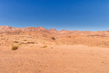 Fototapeta na wymiar desert landscape, plain and mountains of red sandstone covered with sparse vegetation