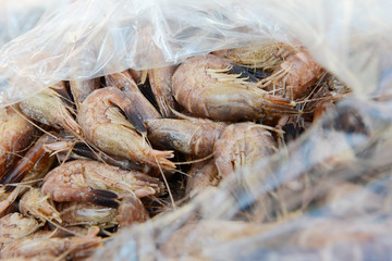 north sea crabs in the bag  on table