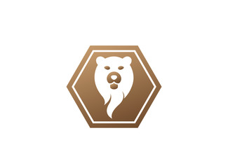 bear head and face for logo design illustration in the shape