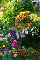 Fototapeta na wymiar Many colorful flowers on a garden bench