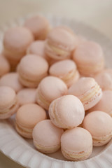 PINK FRENCH MACAROONS