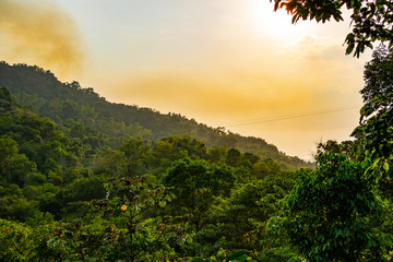 Saftig grünes Blätterdach vom wunderschönen tropischen Regenwald im Küstengebirge Nord Kolumbiens bei Sonnenuntergang	