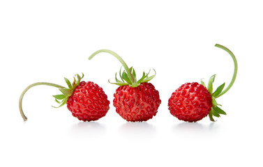 Three wild strawberries