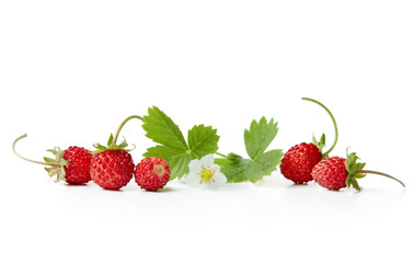 Fresh wild strawberries with flowers and leaves on white background.