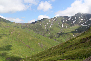 Obraz premium fascinatingly beautiful green mountains of Georgia, Bear Cross Pass, 2700 meters, close-up, top view