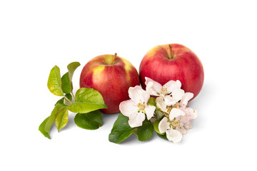 Red apple with flowers isolated on white background.