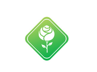 Rose with leaves and long leg flower in the shape for logo design illustration