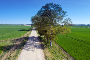 Fototapeta na wymiar Gravel road in rural landscape.