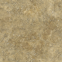 The soil underfoot is yellow with irregularities and pebbles.Texture or background.