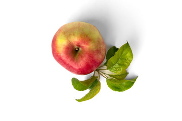 Red apple with flowers isolated on white background.