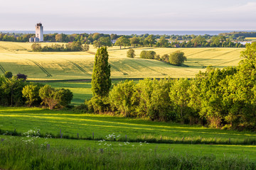 Rural landscape in summer at the baltic sea with fields, bushes and hedges and a granary in the background, Schleswig-Holstein