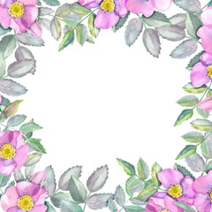 Naklejka premium Square frame of wild roses and leaves. Rosehip flowers for the design of invitations, greeting cards or post in social networks 