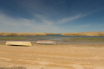 A boat turned upside down. Rowing boats in the reeds. Wooden boat on a grassy lake shore on a...